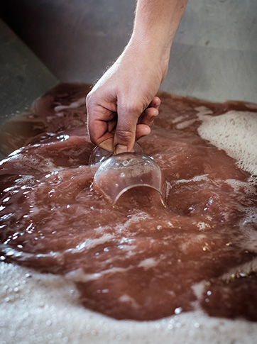 Marie et Thierry Delaunay