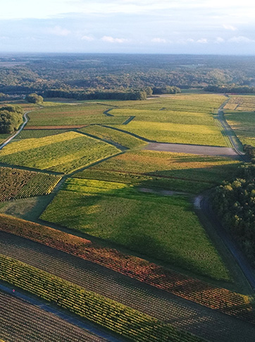 Domaine Joël Delaunay vue du ciel